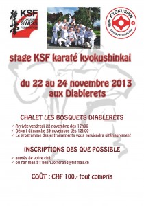 affiche stage KSF 2013